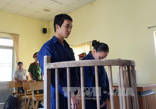 Xét xử vụ "cậu bé đầm tôm" Hào Anh tội trộm cắp tài sản